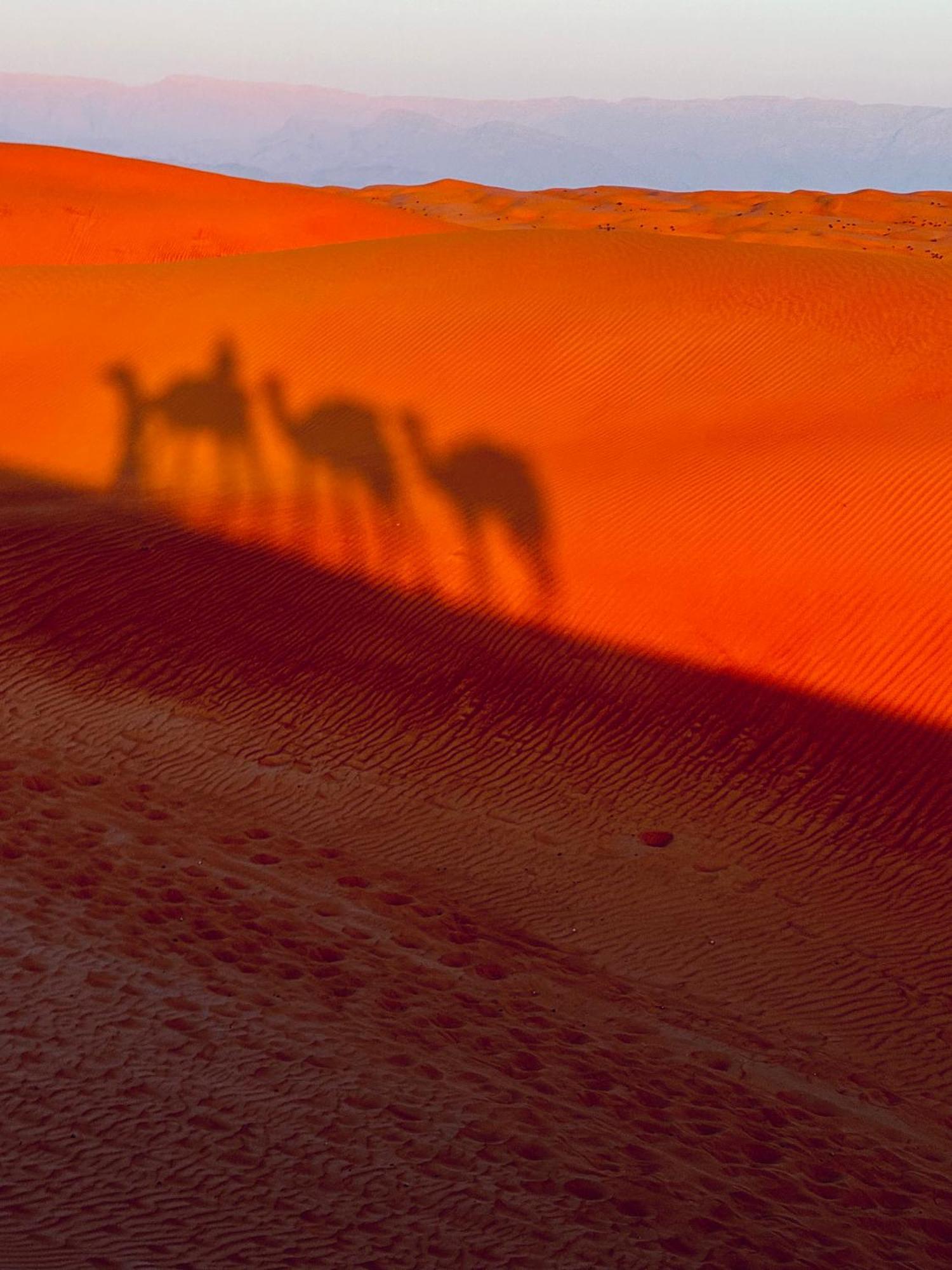 Alsarmadi Desert Camp Shāhiq Zewnętrze zdjęcie